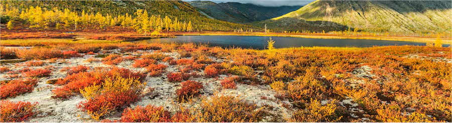 magadan pan